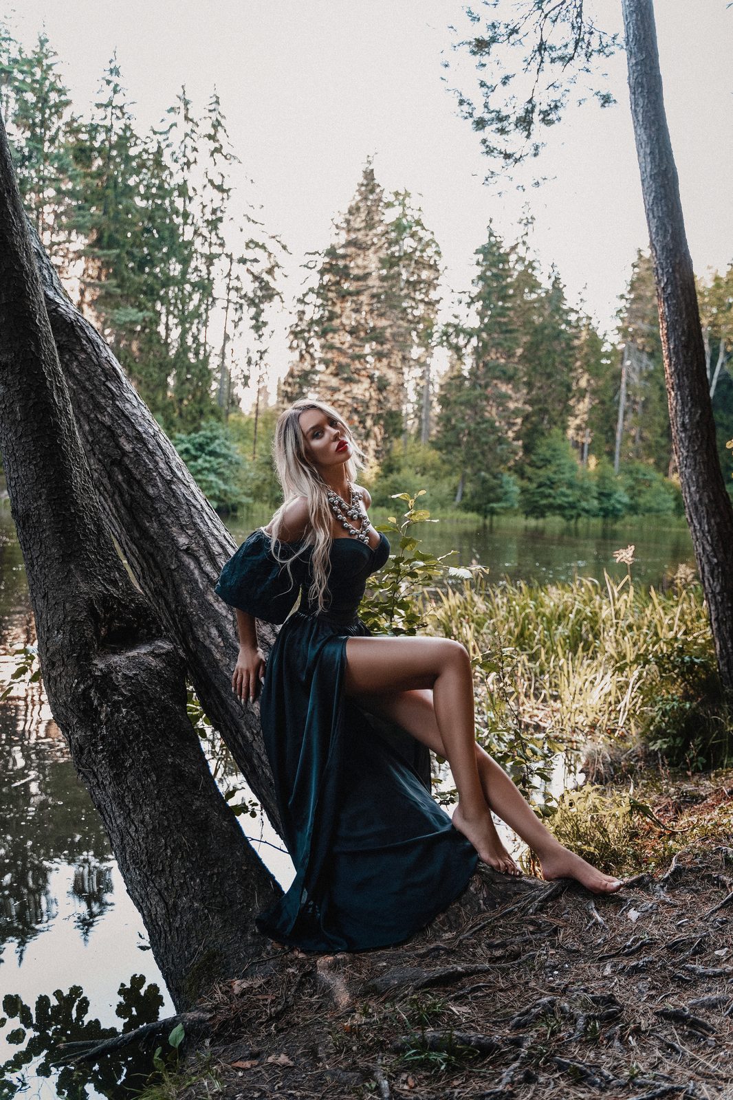 Magic forest — Yulia Phantom