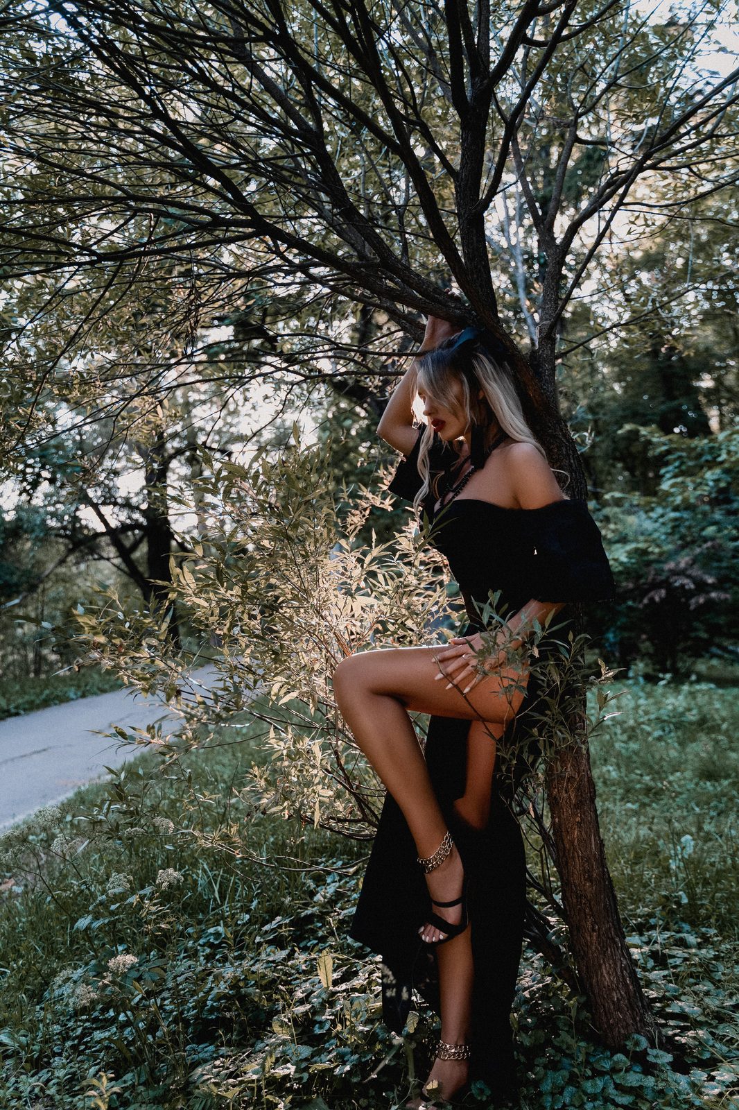 Magic forest — Yulia Phantom